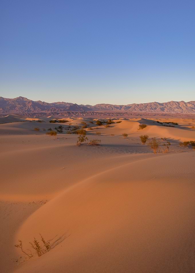 Evening Dunes 1