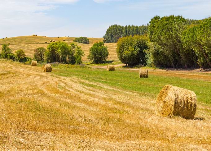 Round hay