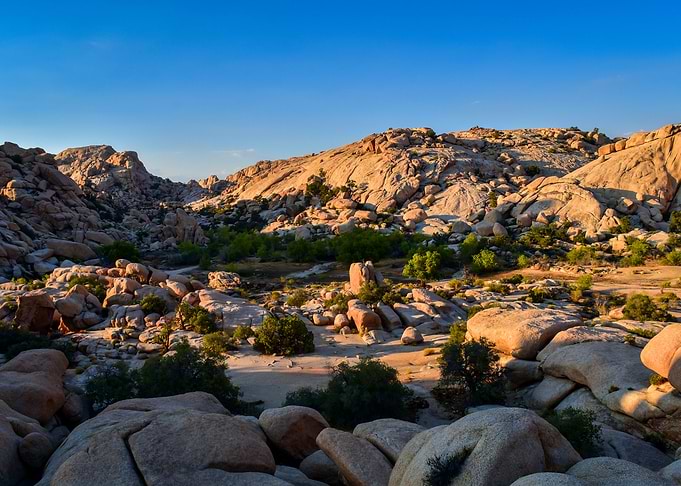 Lonely Desert 3