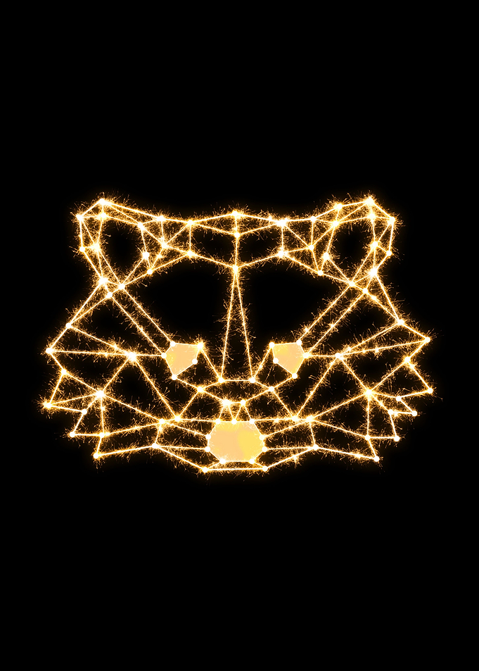 Racoon