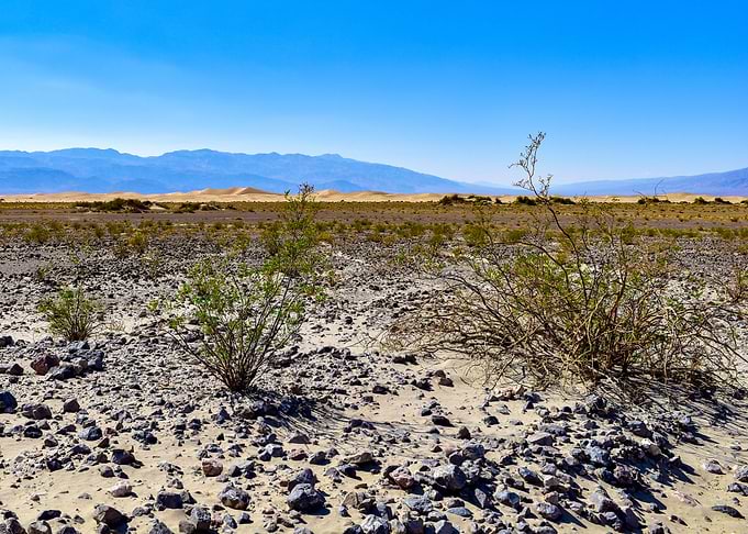 Distant Sand Dunes