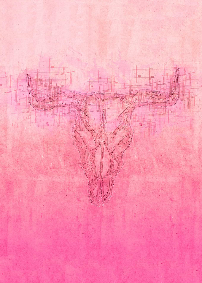 Buffalo Skull
