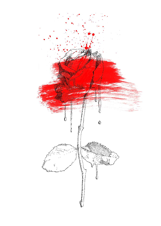 Red Roses Flower