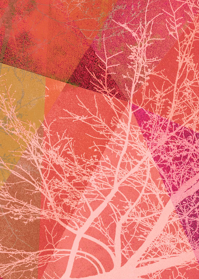 P19-C3 TREES AND TRIANGLES
