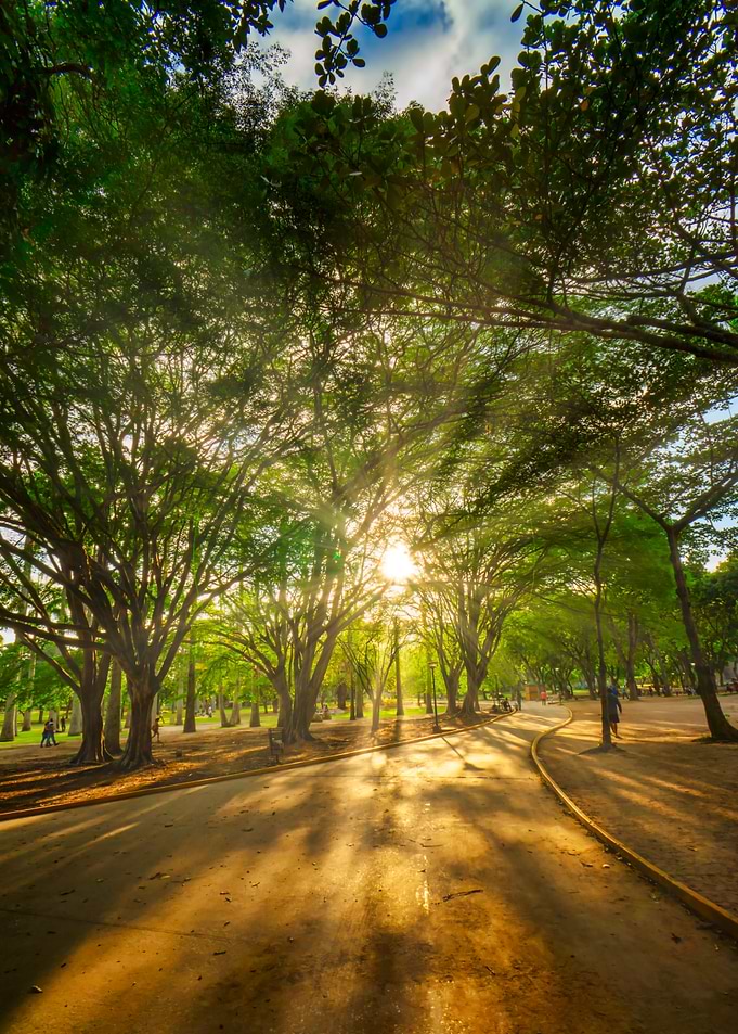 Sunset walk