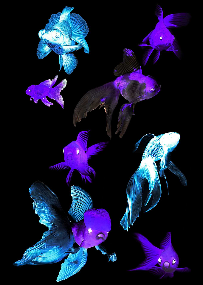 Cyber Punk Fish