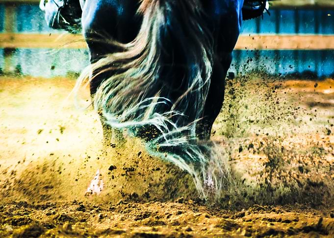 The Horses Tail