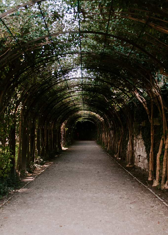 Enter the Labyrinth