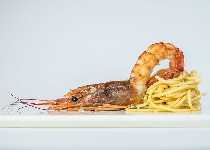 Shrimp Pasta Art