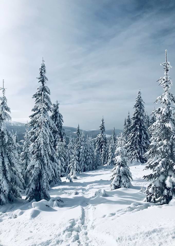 Winter