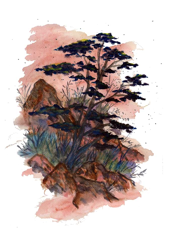 Dry Nature