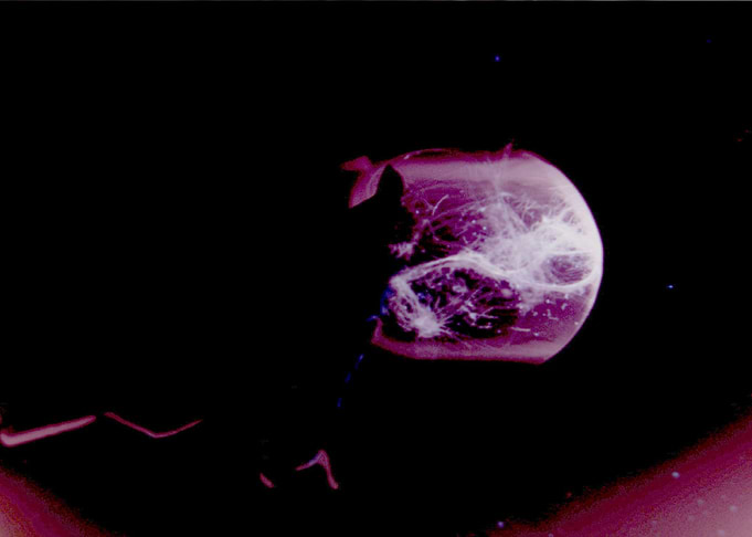 Cosmic Jellyfish