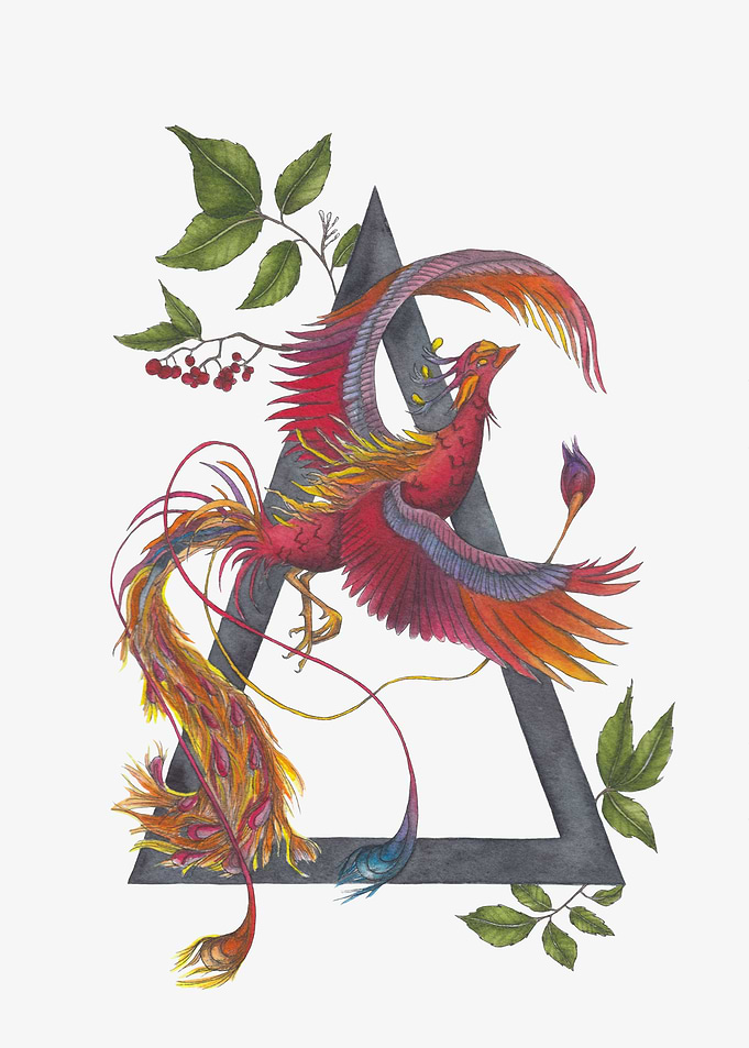 Phoenix Rising