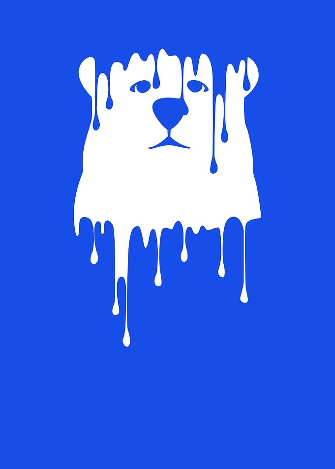 Bear Away
