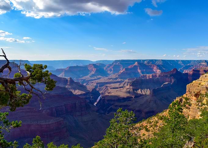 The Canyon