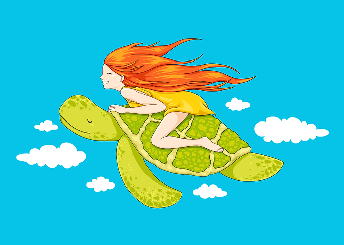 The Flying Turtle