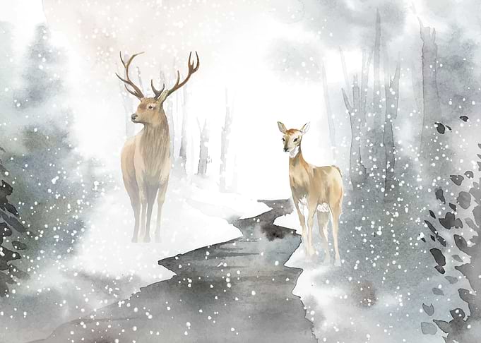 Pair Of Deer