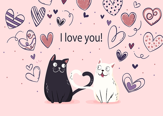 Cats Couple Love