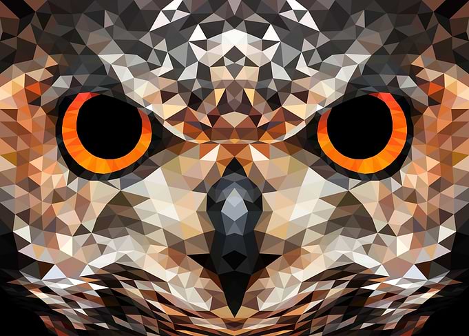 Focus Owl