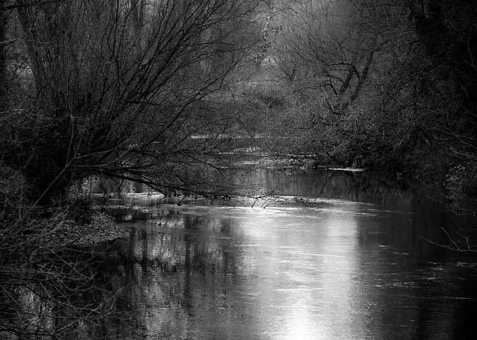 Forest Pond