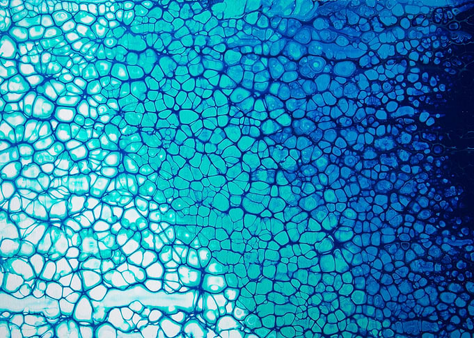 Cellular Blue