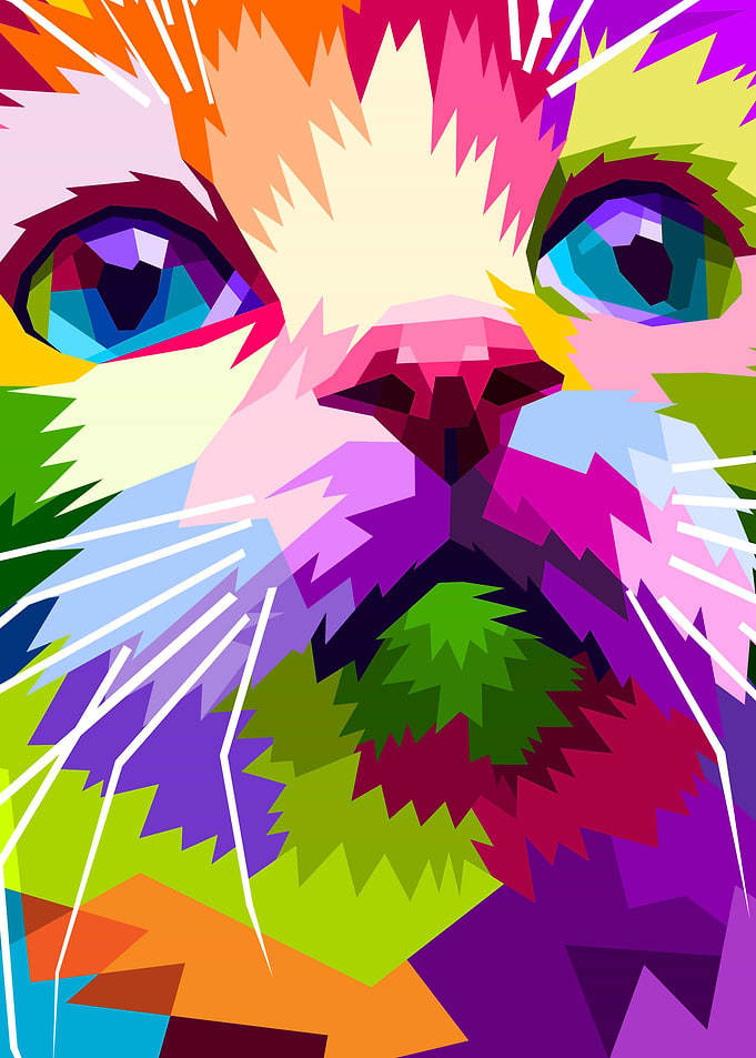 close up of beautiful cat