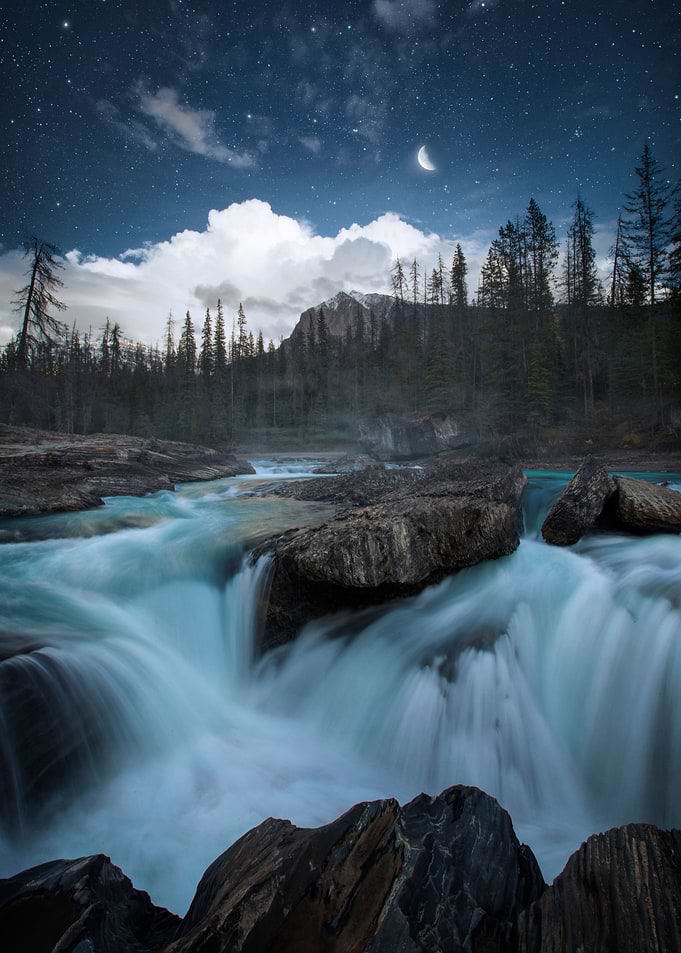 Waking Dream