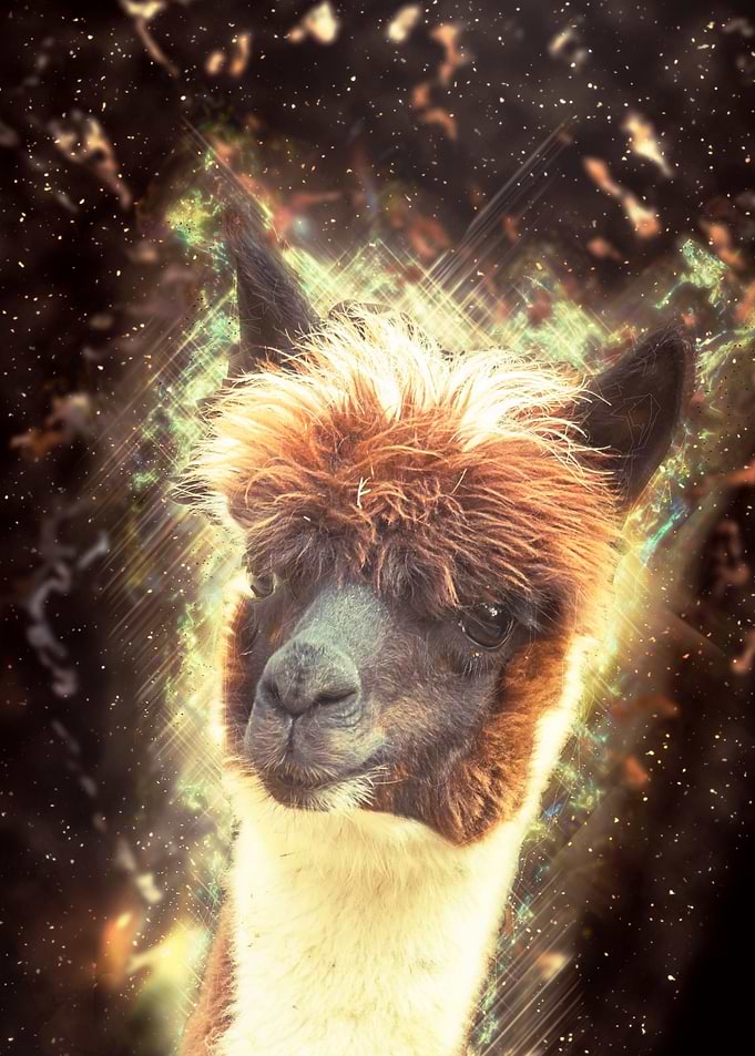 Kawaii Alpaca Colorful