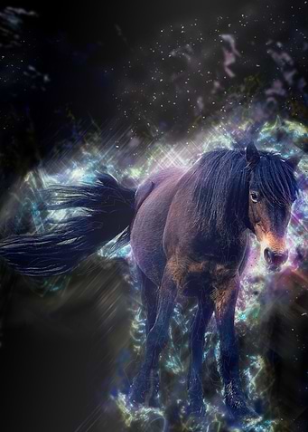 Kawaii Horse Colorful