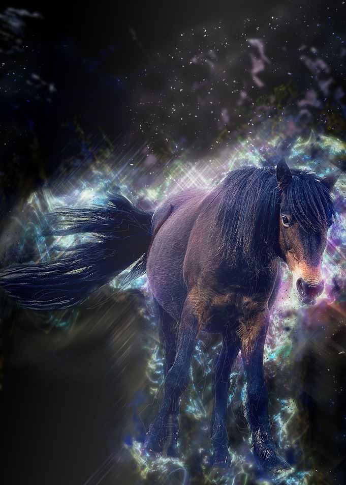 Kawaii Horse Colorful