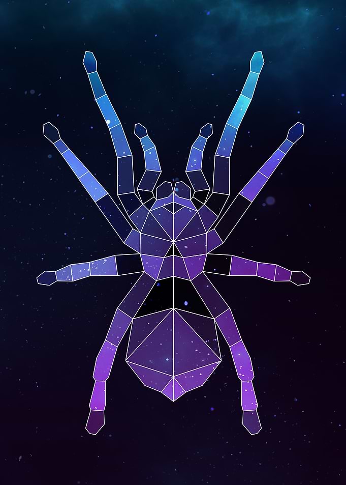 Galaxy Spider