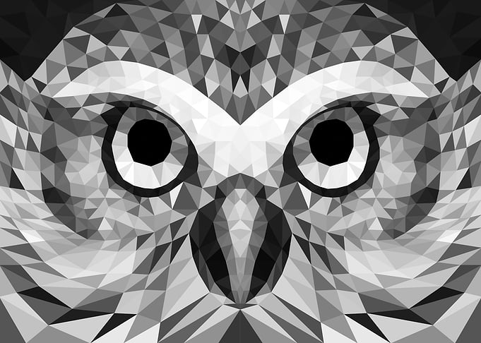 Vain Owl
