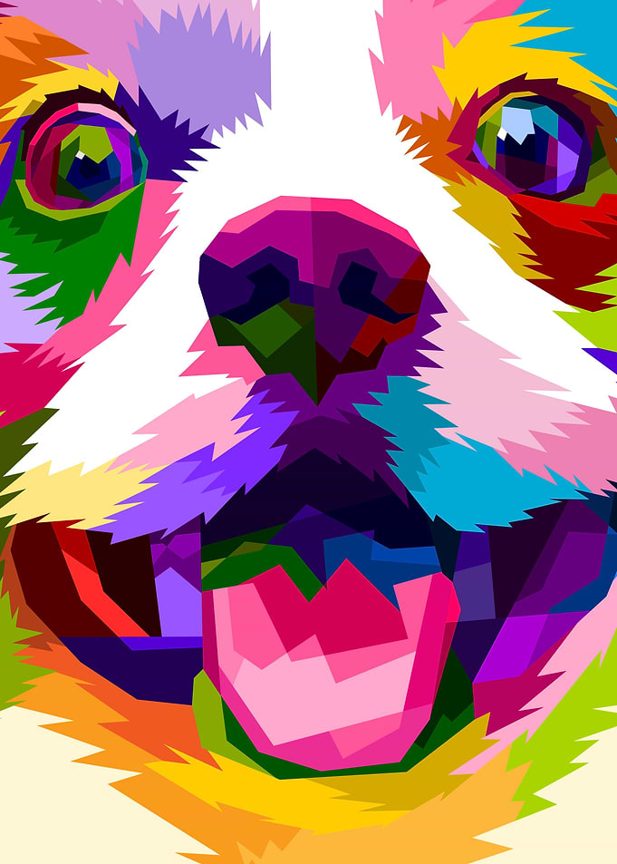 close up of face happy dog