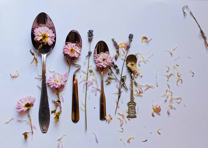 Spoons family in spring