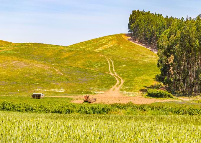 Beautiful farm field