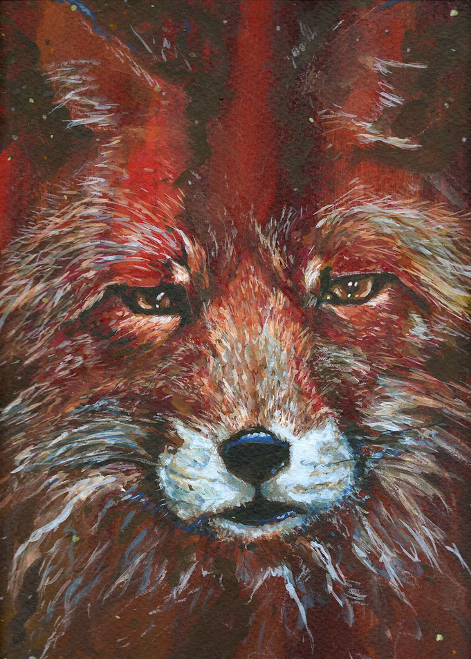 fox