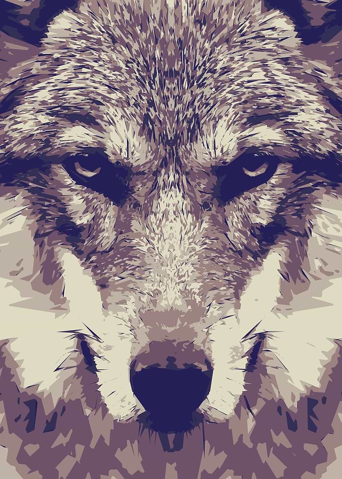Wolf 2