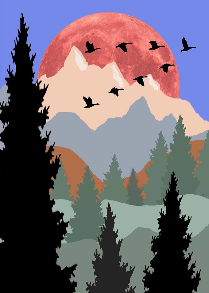 Mountain Scene Geese