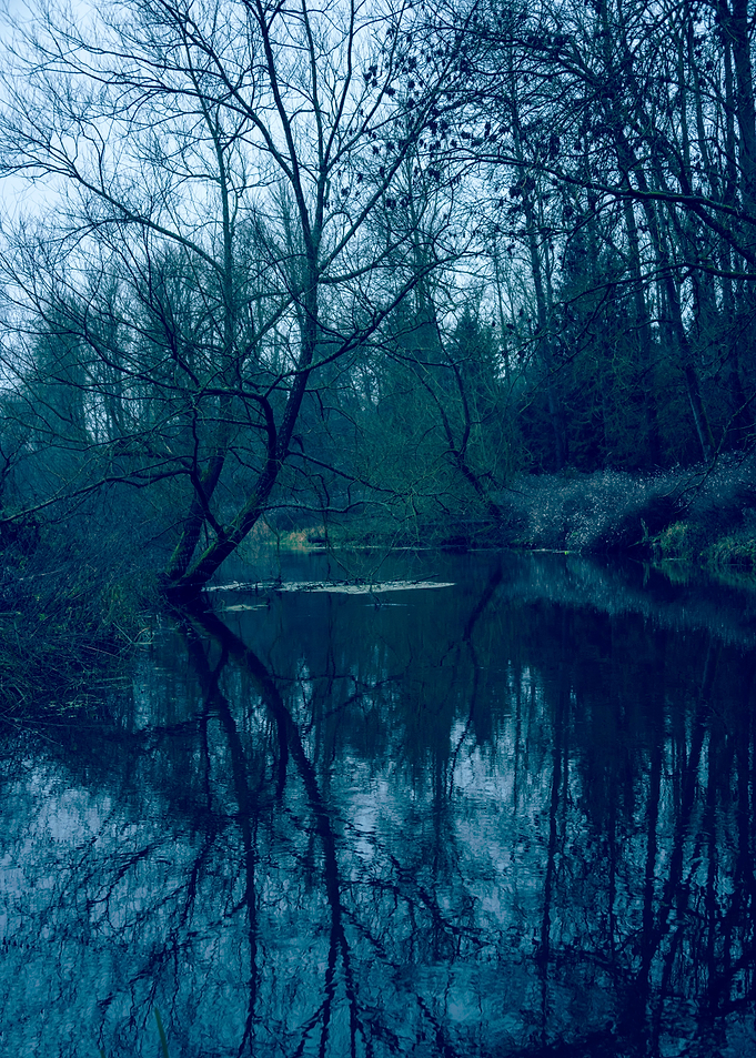 River Trees
