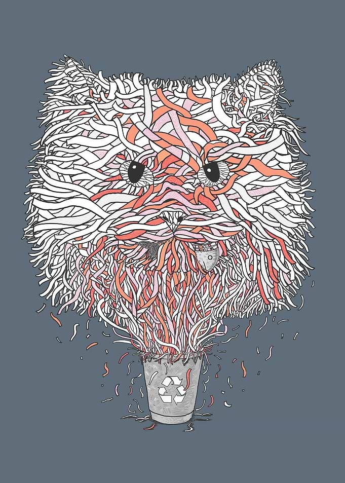 Recycle Cat