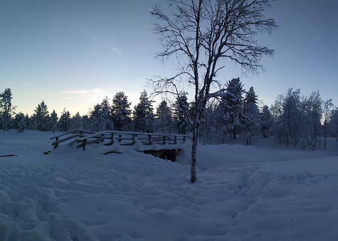 Snow in the morning