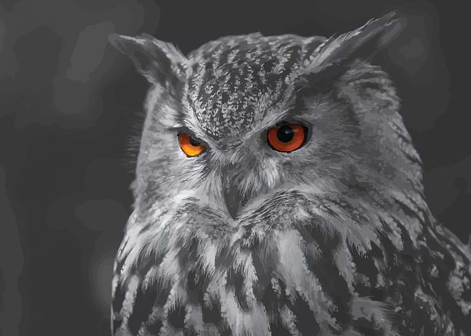 Owl 2