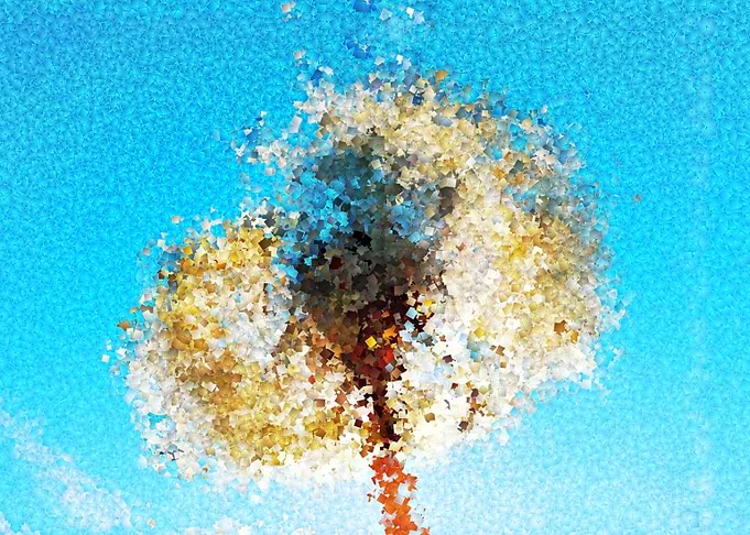 dandelion 2