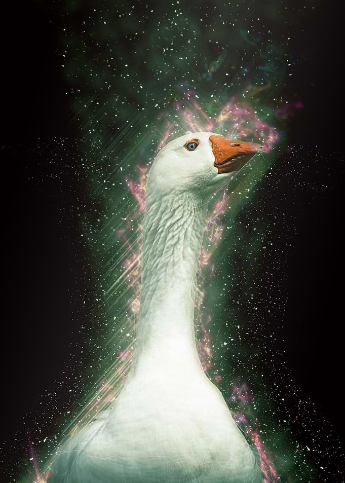 Duck Head Colorful Galaxy
