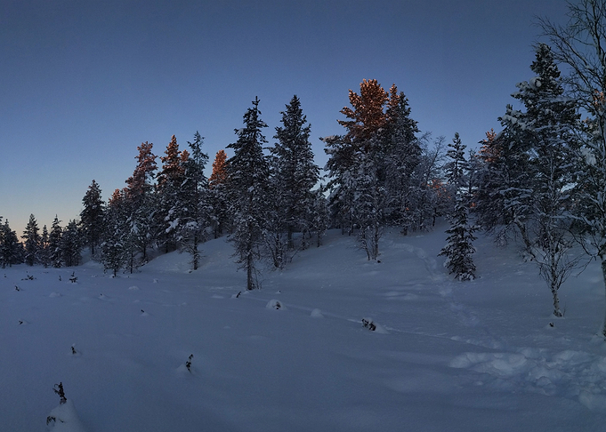 Snow in the morning