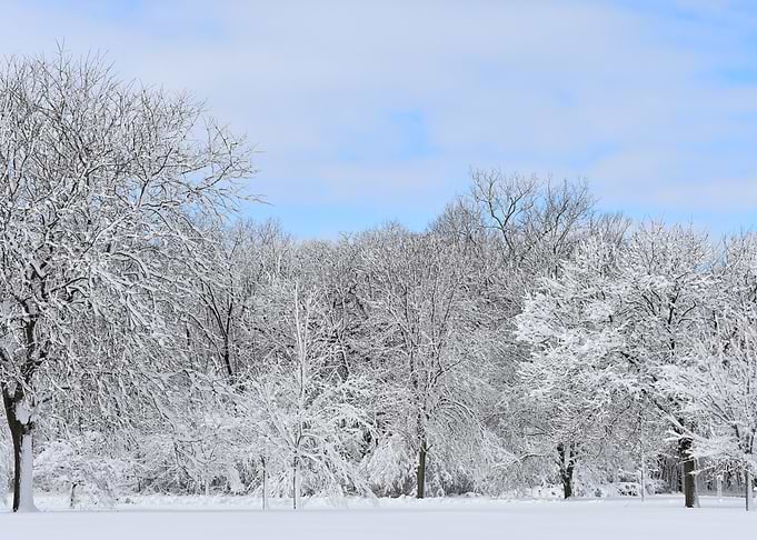 Winter Magic