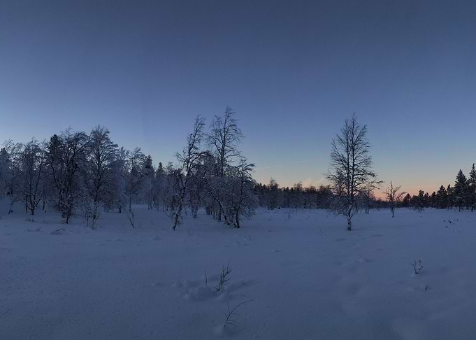 Snow in the morning