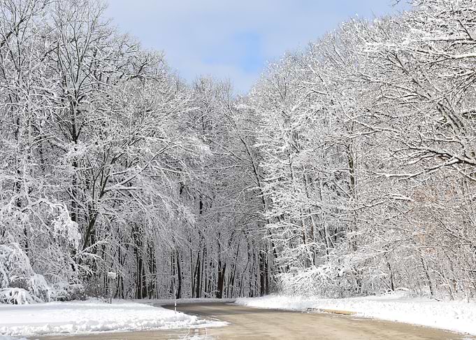 Winter Lane