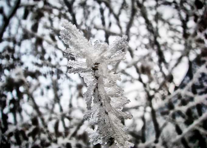 Ice