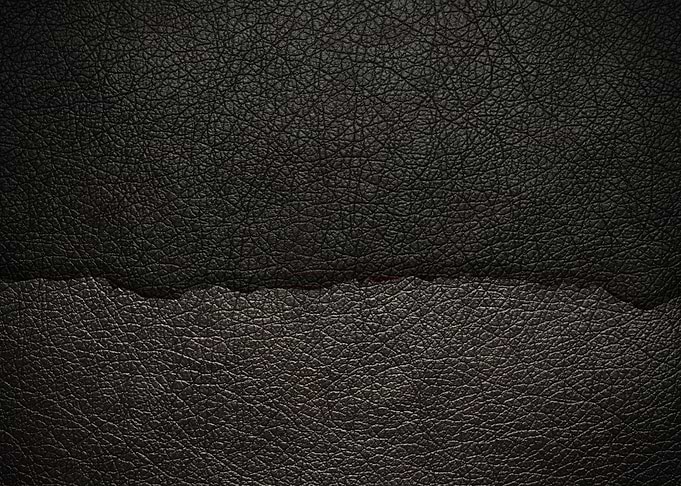 background color back